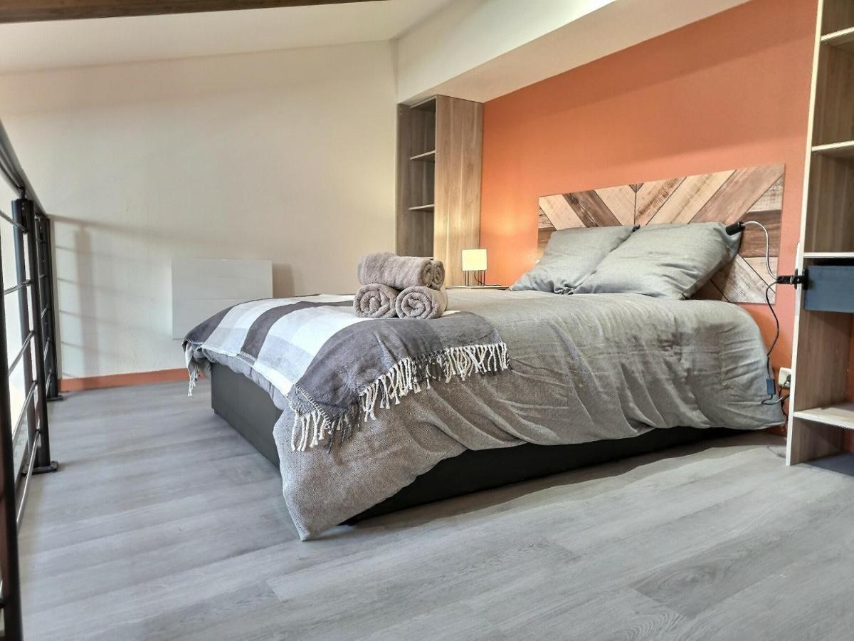 Le Coquelicot - Hyper-Centre - Wifi - Calme Apartment Albi Luaran gambar